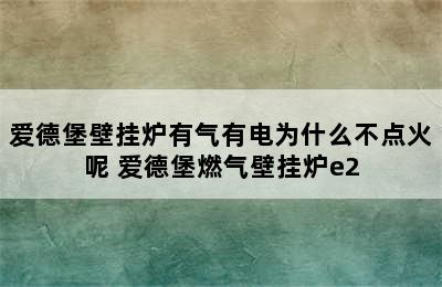 爱德堡壁挂炉有气有电为什么不点火呢 爱德堡燃气壁挂炉e2